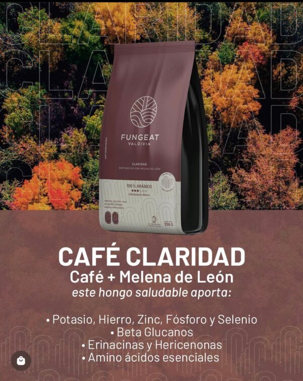 Café Claridad con Melena de León