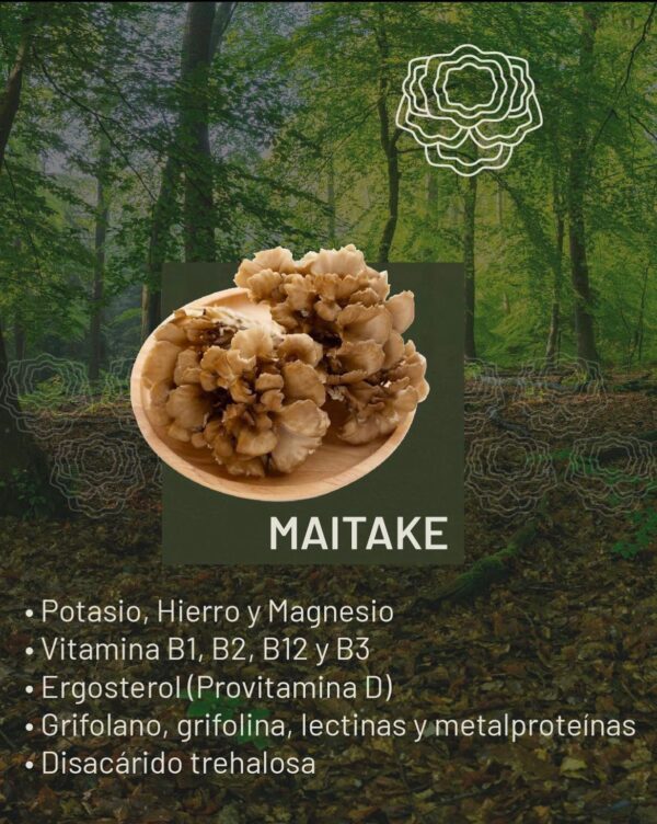 Café Armonia con Maitake - Image 3